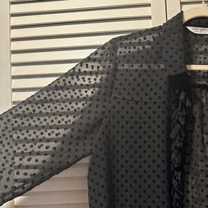 Zara Black Sheer Polka Dot Top